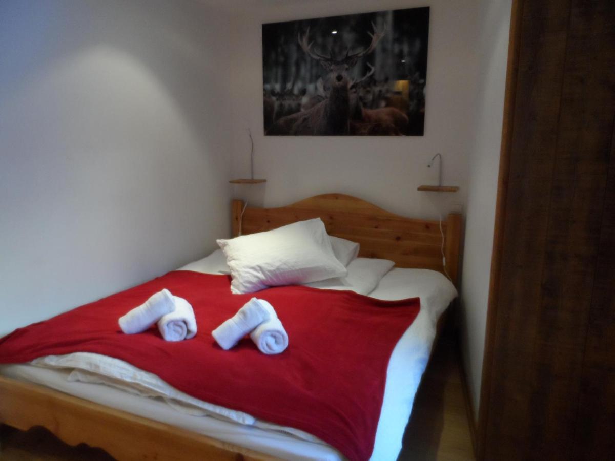 Prachtig Familie Appartement Voor 6 Personen In Het Hart Van Argentiere, Chamonix Mont-Blanc Eksteriør bilde